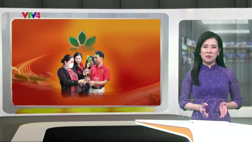 Phiên chợ sâm Ngọc Linh