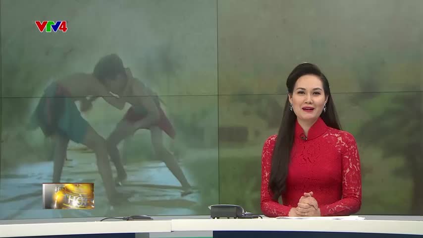 Sới vật đồng quê