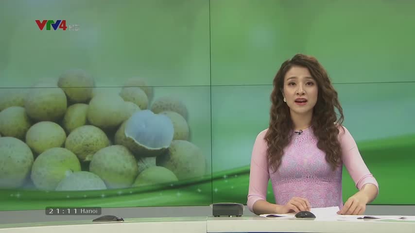 Xúc tiến tiêu thụ cho nhãn lồng Hưng Yên