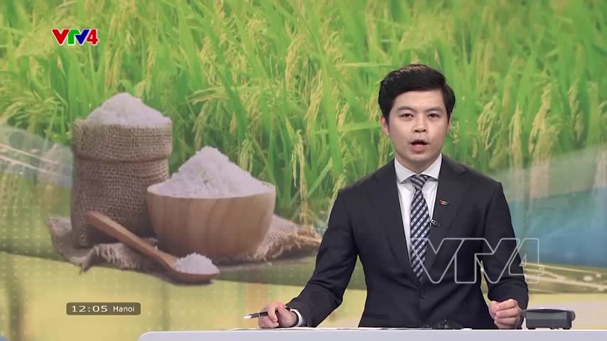 Ổn định thị trường và đảm bảo dự trữ lúa gạo 