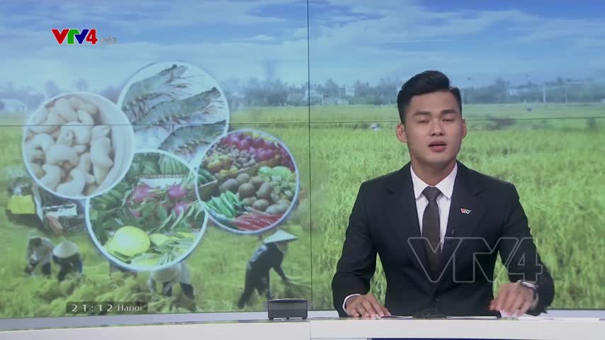 Phát triển nông nghiệp hữu cơ – Hướng đi mới bền vững