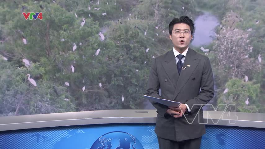 Đất lành chim đậu