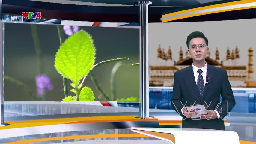 Về với bối cảnh quay phim “Cánh đồng bất tận”