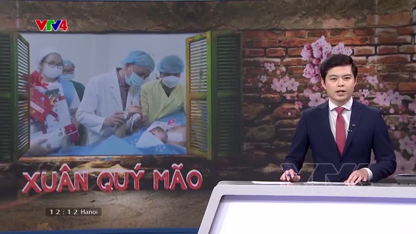 Những em bé “mèo vàng” đầu tiên của năm Quý Mão 2023