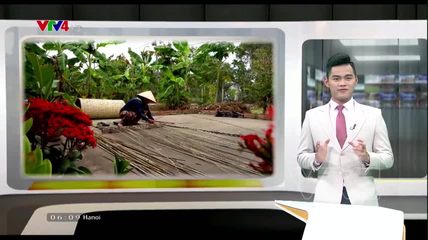 Nghề của những đôi tay cần mẫn