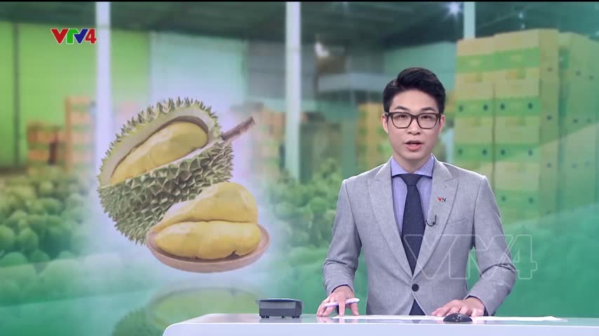 Lần đầu xuất khẩu Sầu Riêng chính ngạch