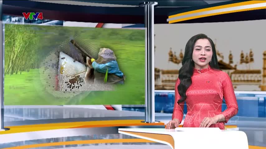 Mùa dọn kèo ong rừng U Minh Hạ