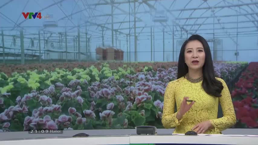 Lâm Đồng phát triển mô hình nông nghiệp thông minh