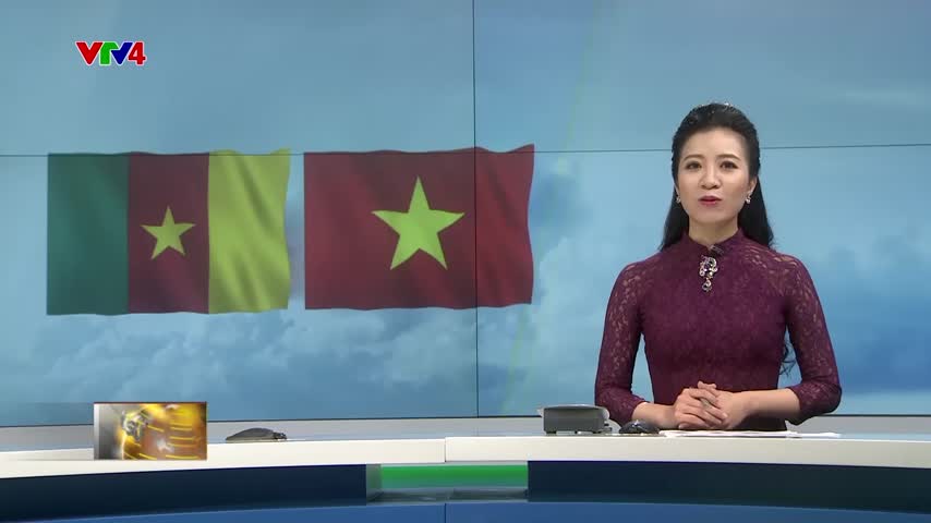 Tăng cường quan hệ Việt Nam - Cameroon