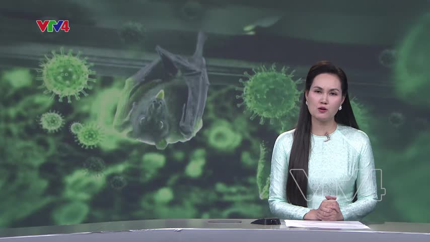 Cảnh báo dịch bệnh do virus Nipah