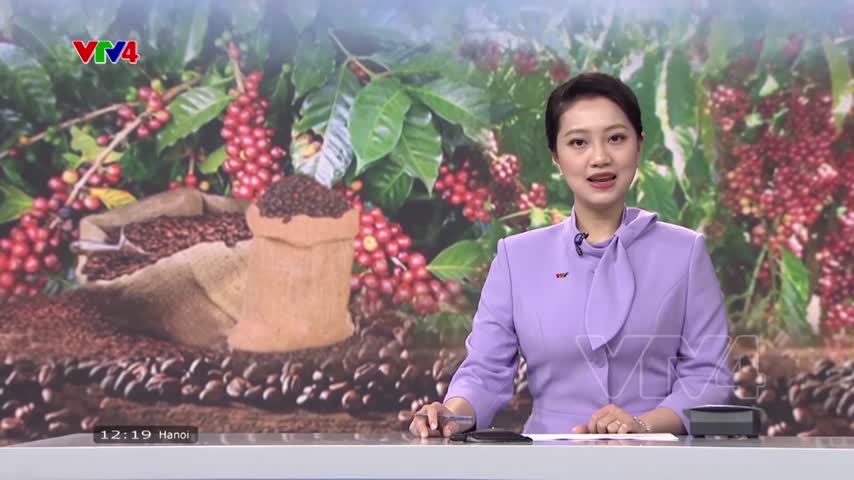 Khai mạc Lễ hội cà phê Buôn Ma Thuột