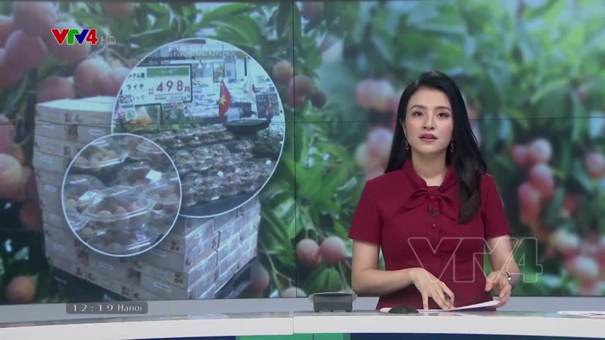 Tổ chức sản xuất, đầu tư chế biến nâng cao giá trị quả vải