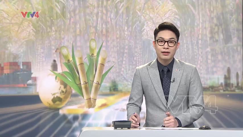 Ngành mía đường phục hồi tăng trưởng