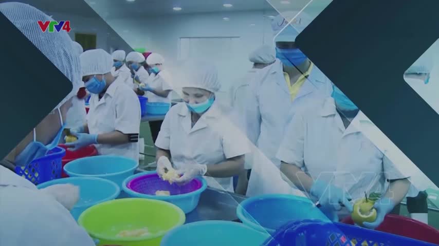 Tiêu điểm: Cơ hội, thách thức xuất khẩu sang Trung Quốc