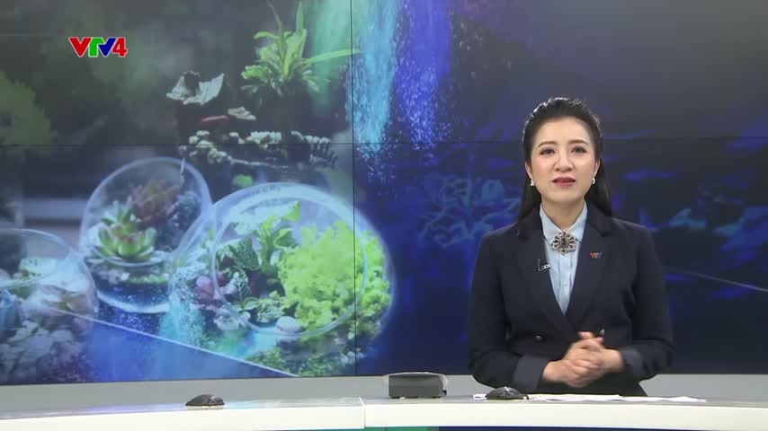 Thú chơi cây cảnh mini của giới trẻ