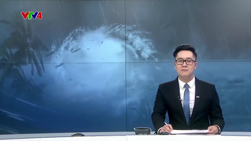 Du lịch Quảng Ninh đối phó với bão