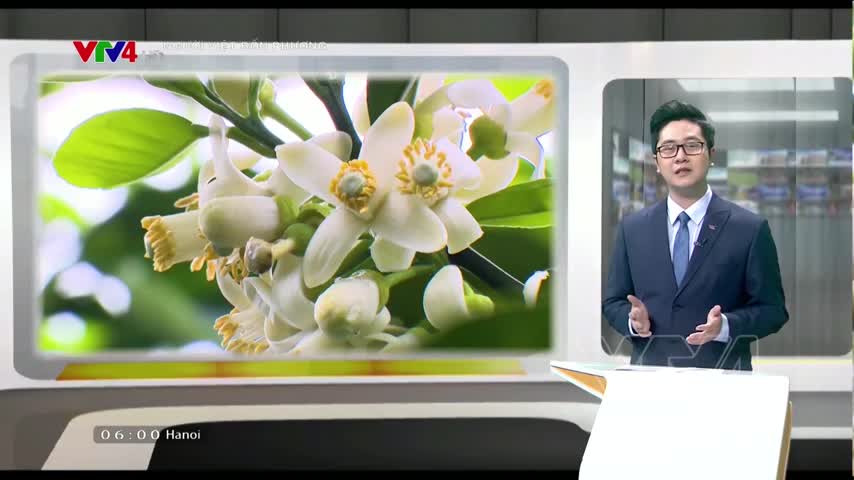 Ngôi làng ngát hương xuân