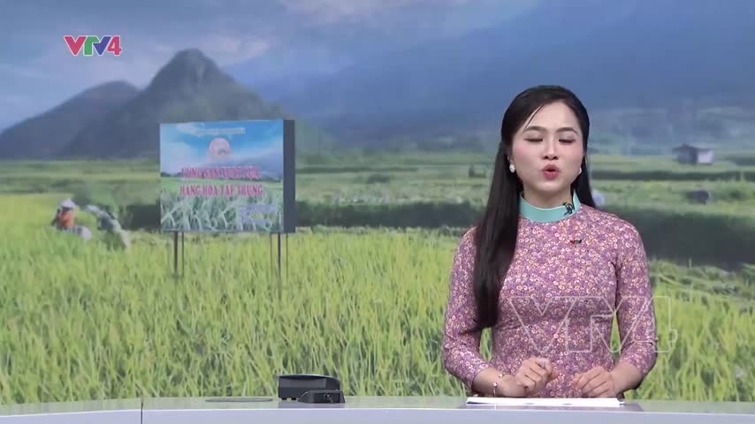 Lai Châu phát triển nông nghiệp hàng hóa