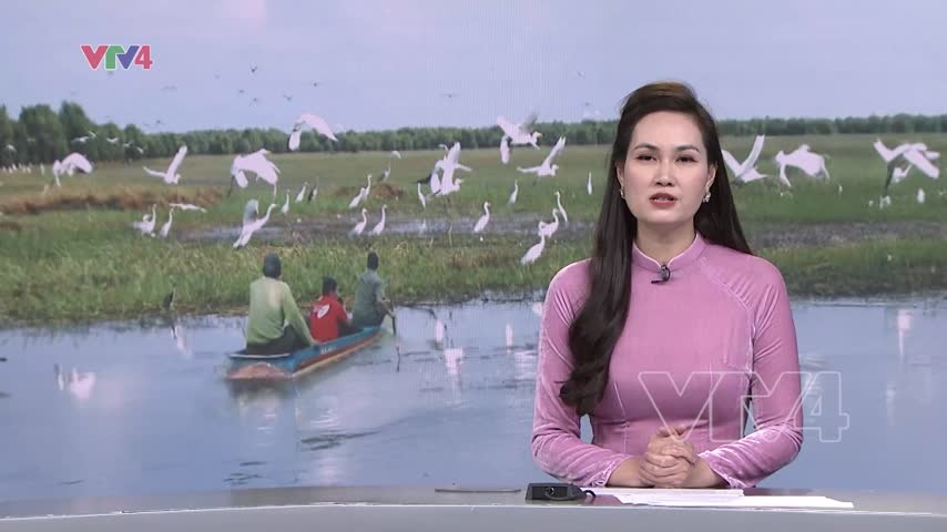 Biệt đội chống cò tặc rừng tràm Trà Sư