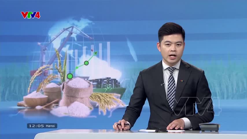 Triển vọng tích cực về xuất khẩu gạo năm 2023