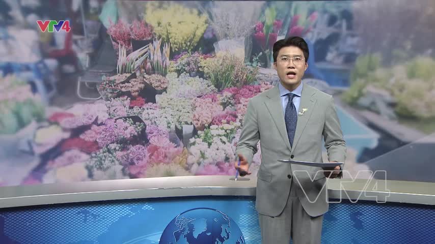 Chợ hoa Hà Nội rộn sắc xuân