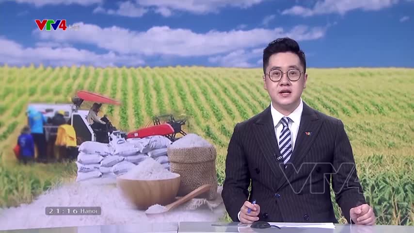 Xuất khẩu gạo khởi sắc – Doanh nghiêp nắm bắt cơ hội từ EVFTA