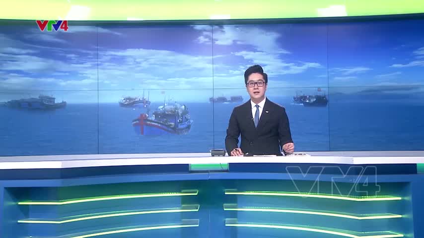 Đánh bắt thủy sản bất hợp pháp cần ngăn chặn triệt để