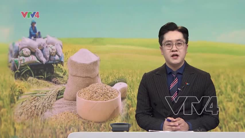 Khẳng định vị thế lúa gạo Việt Nam