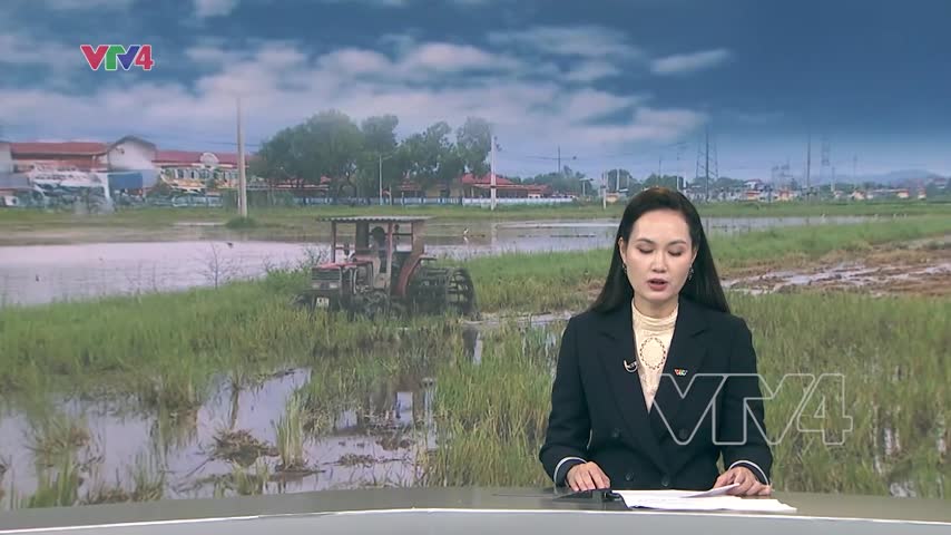 Khẩn trương khôi phục sản xuất nông nghiệp sau bão lũ