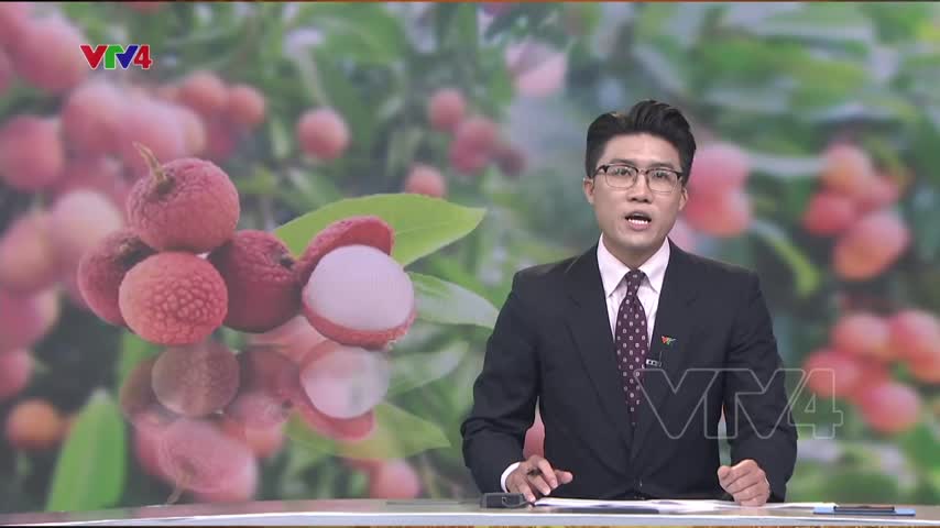 Vải thiều tươi Việt Nam đã có mặt tại Pháp