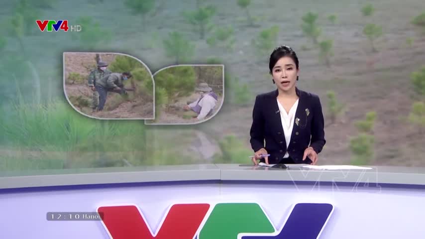 Phát huy vai trò tổ cộng đồng trong khoanh nuôi, tái sinh rừng