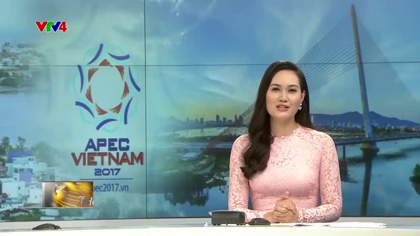 Thành phố Đà Nẵng chào mừng sự kiện APEC 2017