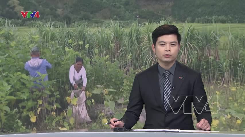 Lâm Đồng: Đổi thay tại 2 xã nông thôn mới cuối cùng