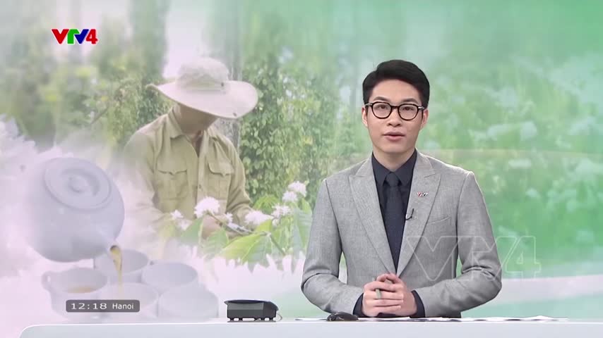 Lưu giữ hương hoa cà phê