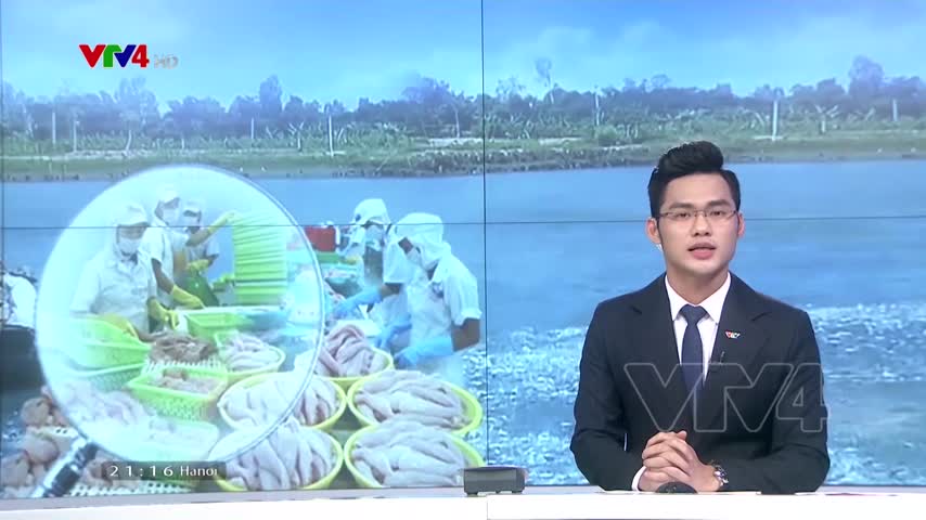 Tìm đường tiêu thụ cá tra mùa dịch bệnh