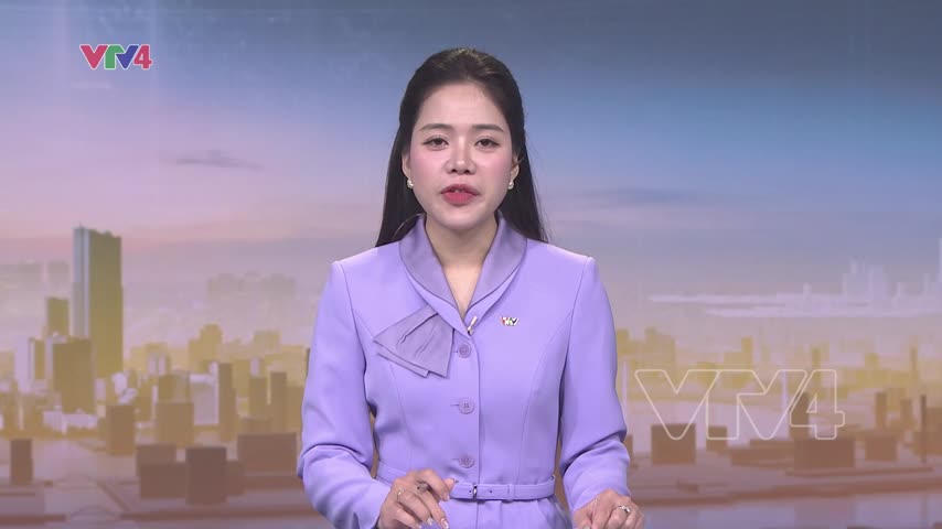 Quế Trà My - cây xóa đói, giảm nghèo bền vững