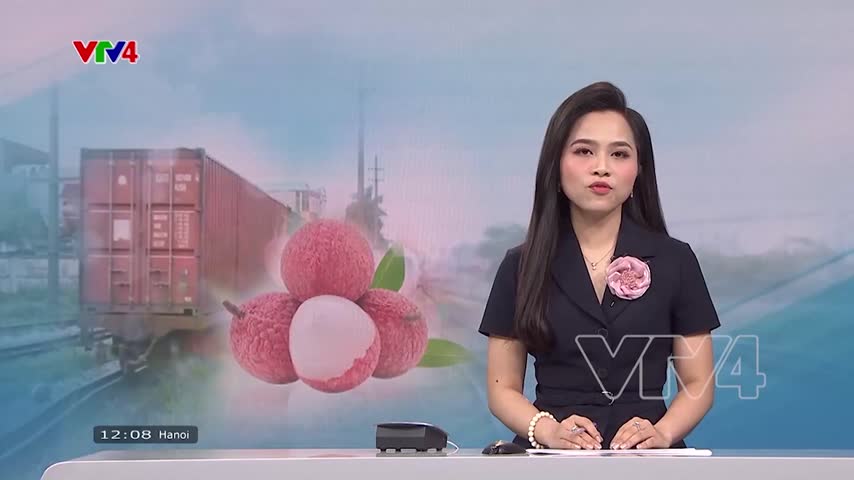 56 tấn vải thiều xuất khẩu chính ngạch bằng đường sắt