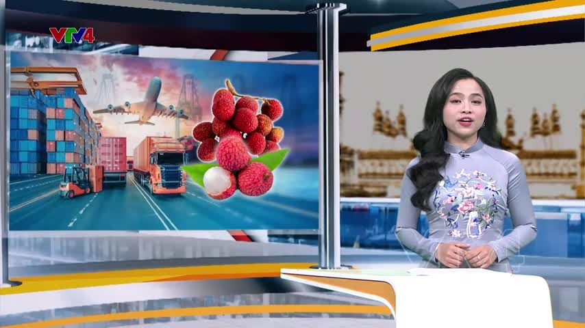 Trái vải Việt Nam tiếp tục đường tiến vào châu Âu