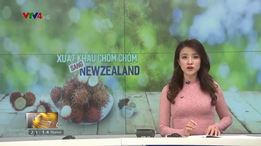 Xuất khẩu chôm chôm sang New Zealand