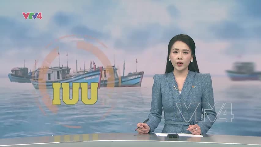 VASEP kêu gọi doanh nghiệp thủy sản tuân thủ IUU