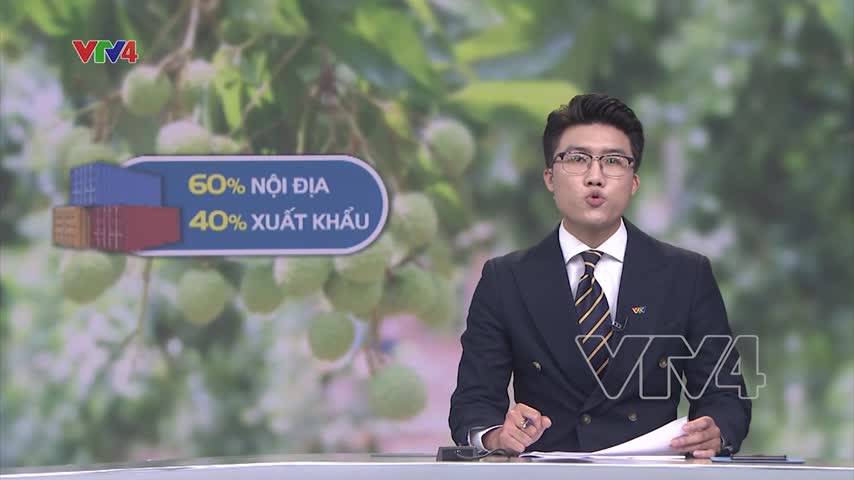 Rộng mở thị trường xuất khẩu Vải thiều