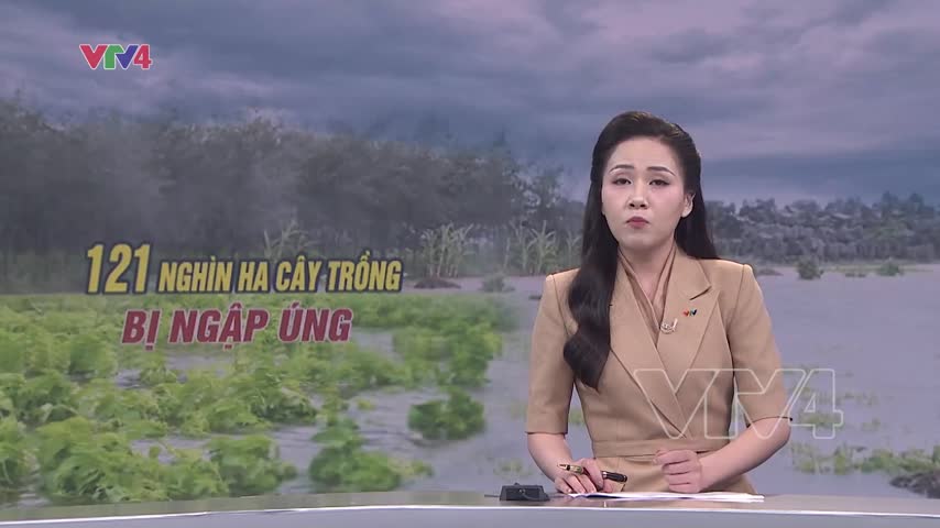 121 nghìn ha cây trồng bị ngập úng do bão số 3