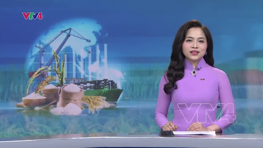 Việt Nam vừa nhập khẩu, vừa xuất khẩu gạo nhiều nhất thế giới