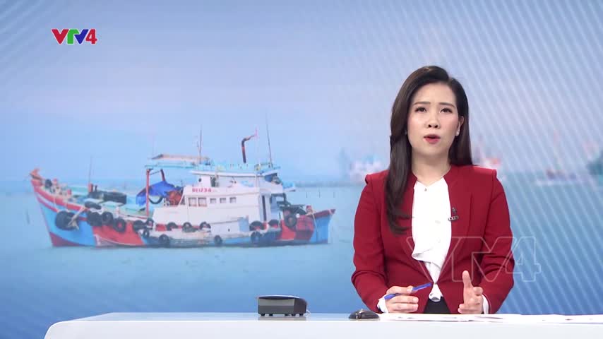 Bà Rịa – Vũng Tàu ngăn chặn vi phạm trong khai thác hải sản