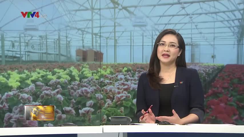 Liên kết nông hộ để xây dựng nông nghiệp thông minh tại Việt Nam