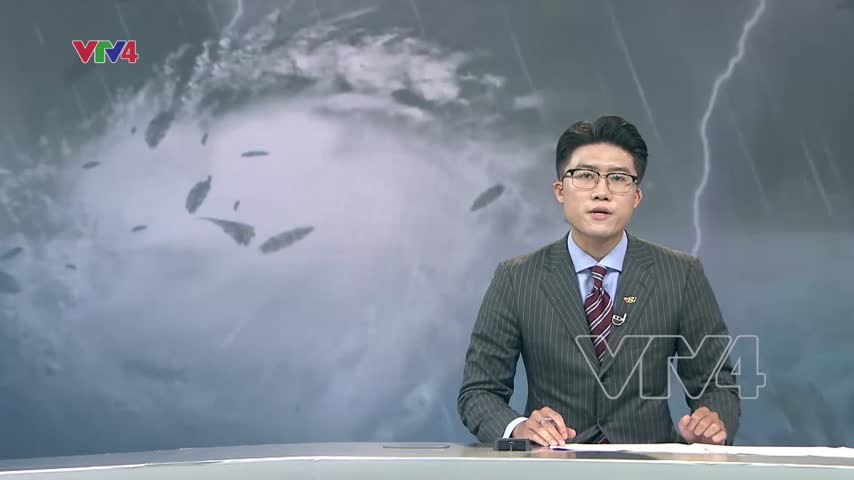 Hải Phòng dừng hoạt động tuyến cáp treo