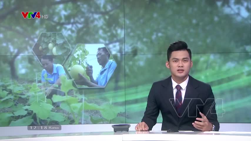 Chuyện những người đi khai phá vùng đất hoang