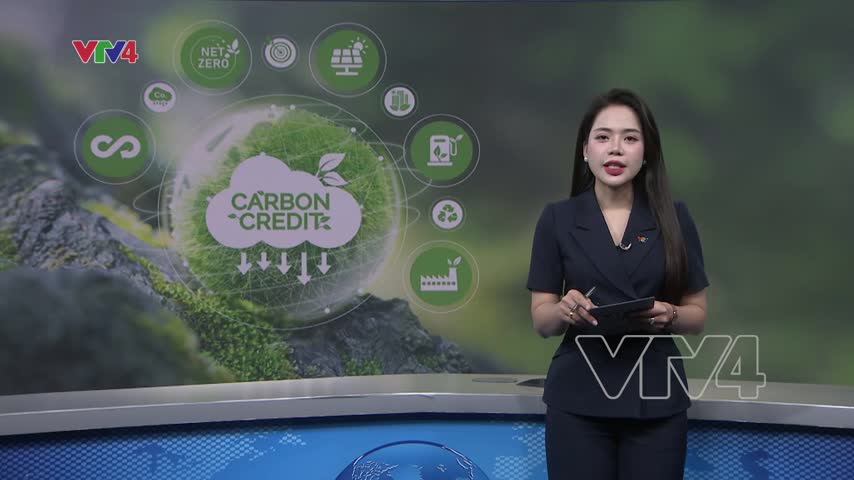 Hoàn thiện mô hình sàn giao dịch Carbon