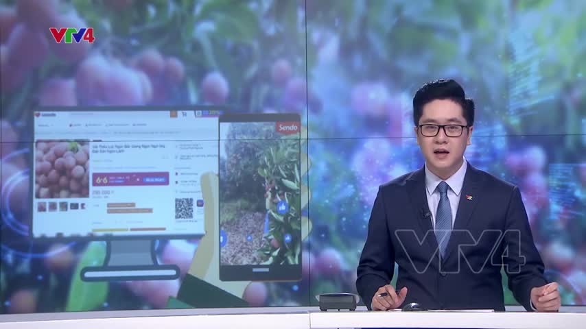 Thuận lợi tiêu thụ vải thiều trên các sàn thương mại điện tử