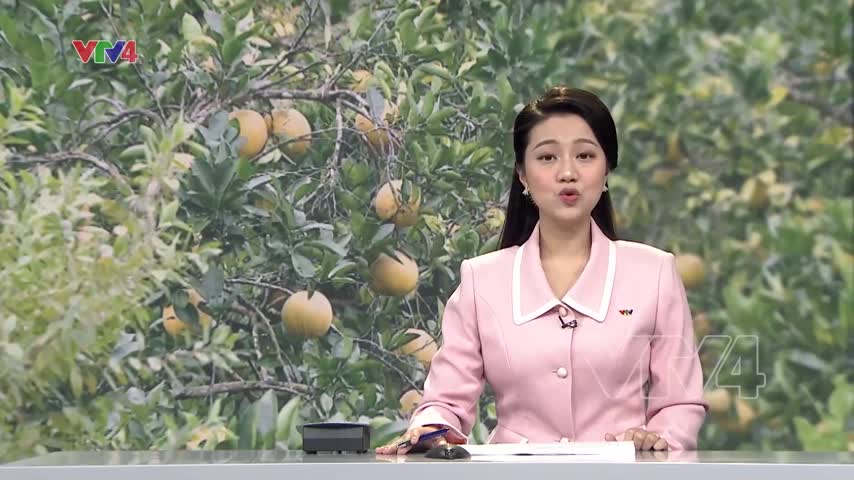 Đổi mới sản xuất để phát triển kinh tế